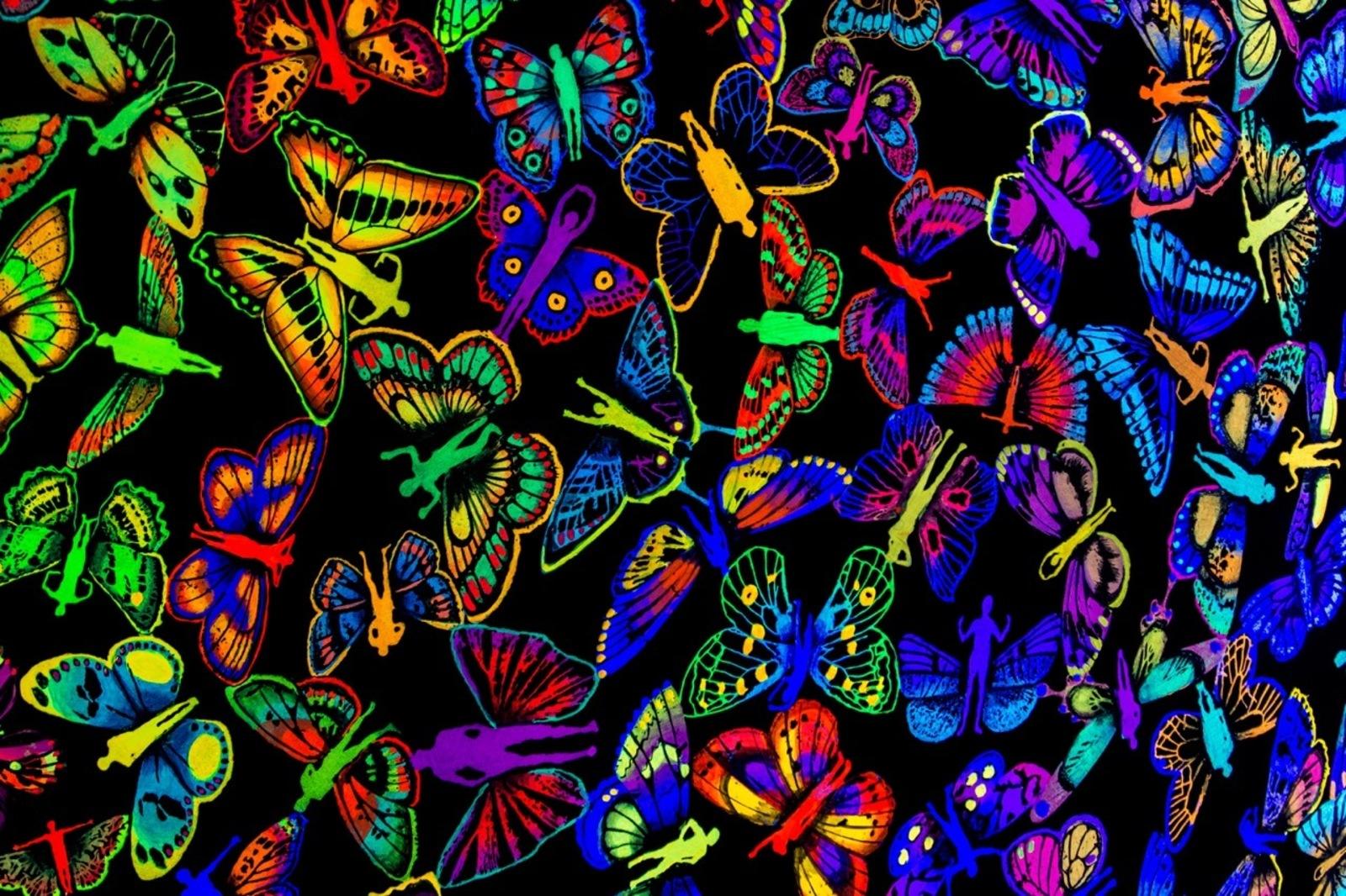 Zadok